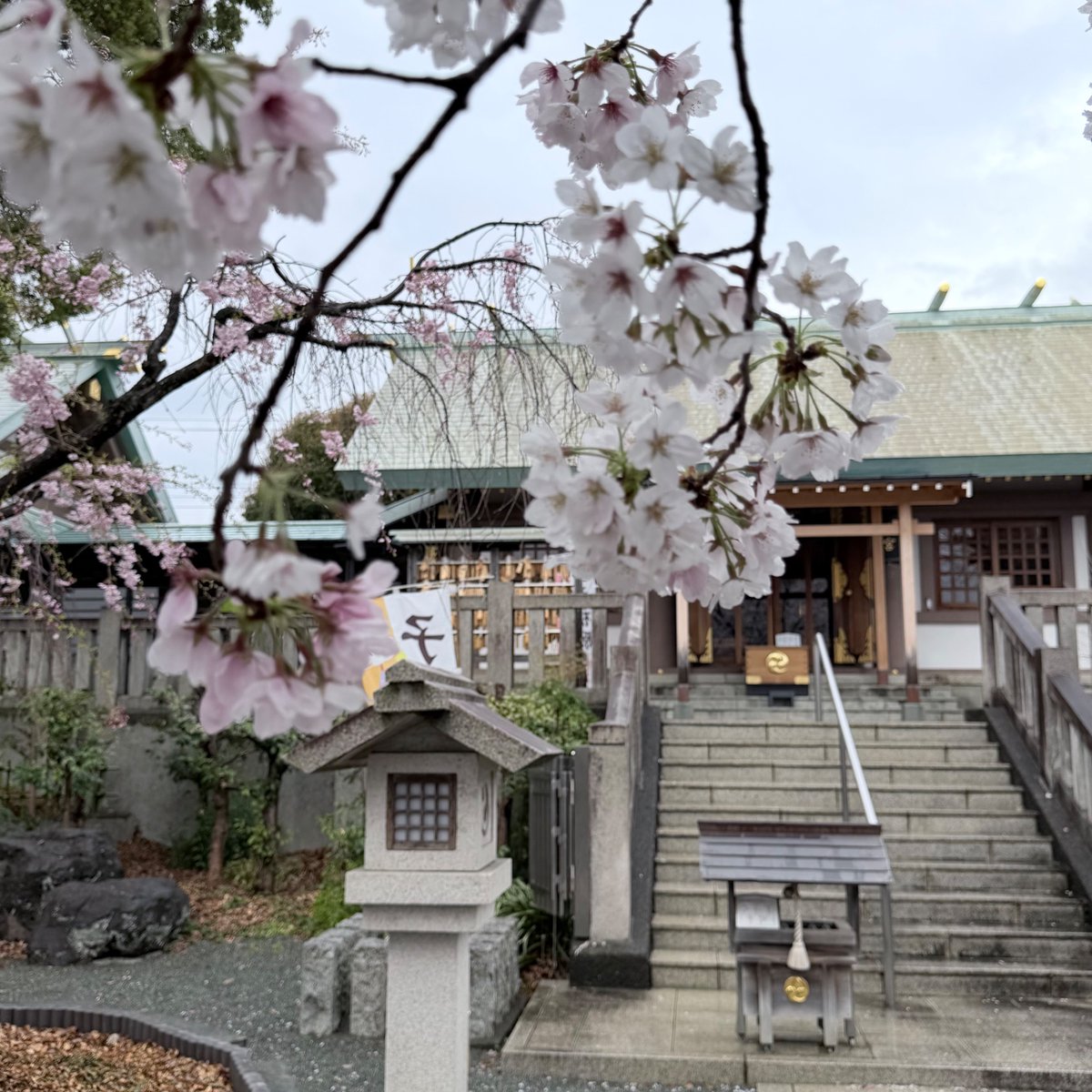 My Playful Town（MPT）-伊勢原市内在学中の大学生による町の楽しみ方- tweet media