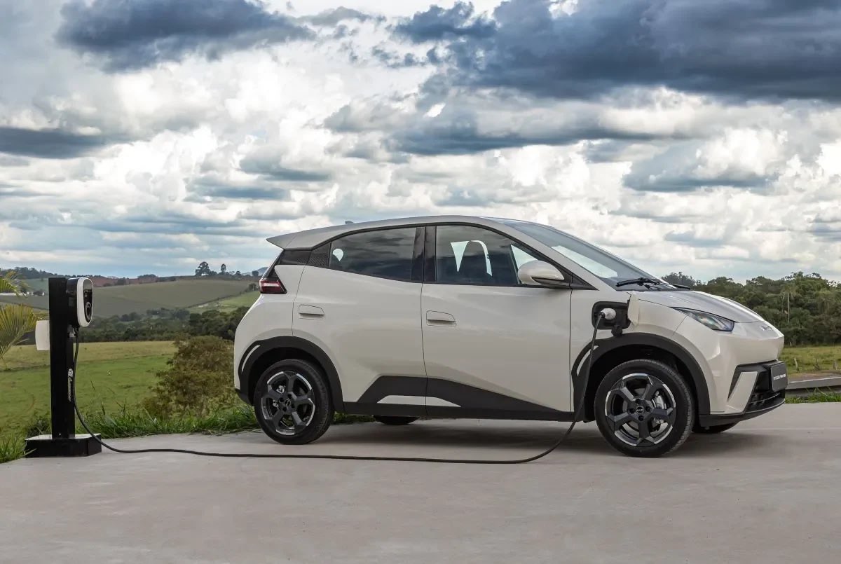 Pedro Accorsi tweet media