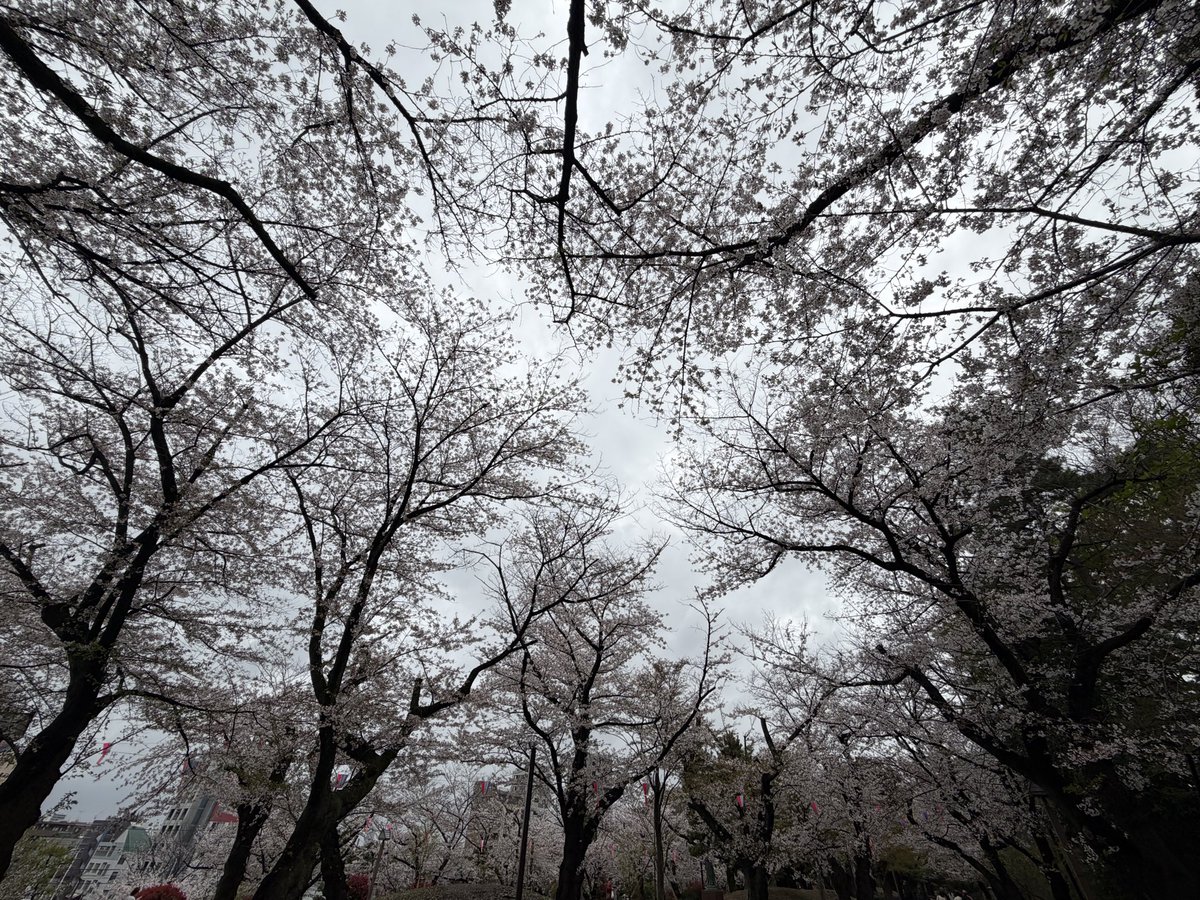 凛とする眼鏡 tweet media