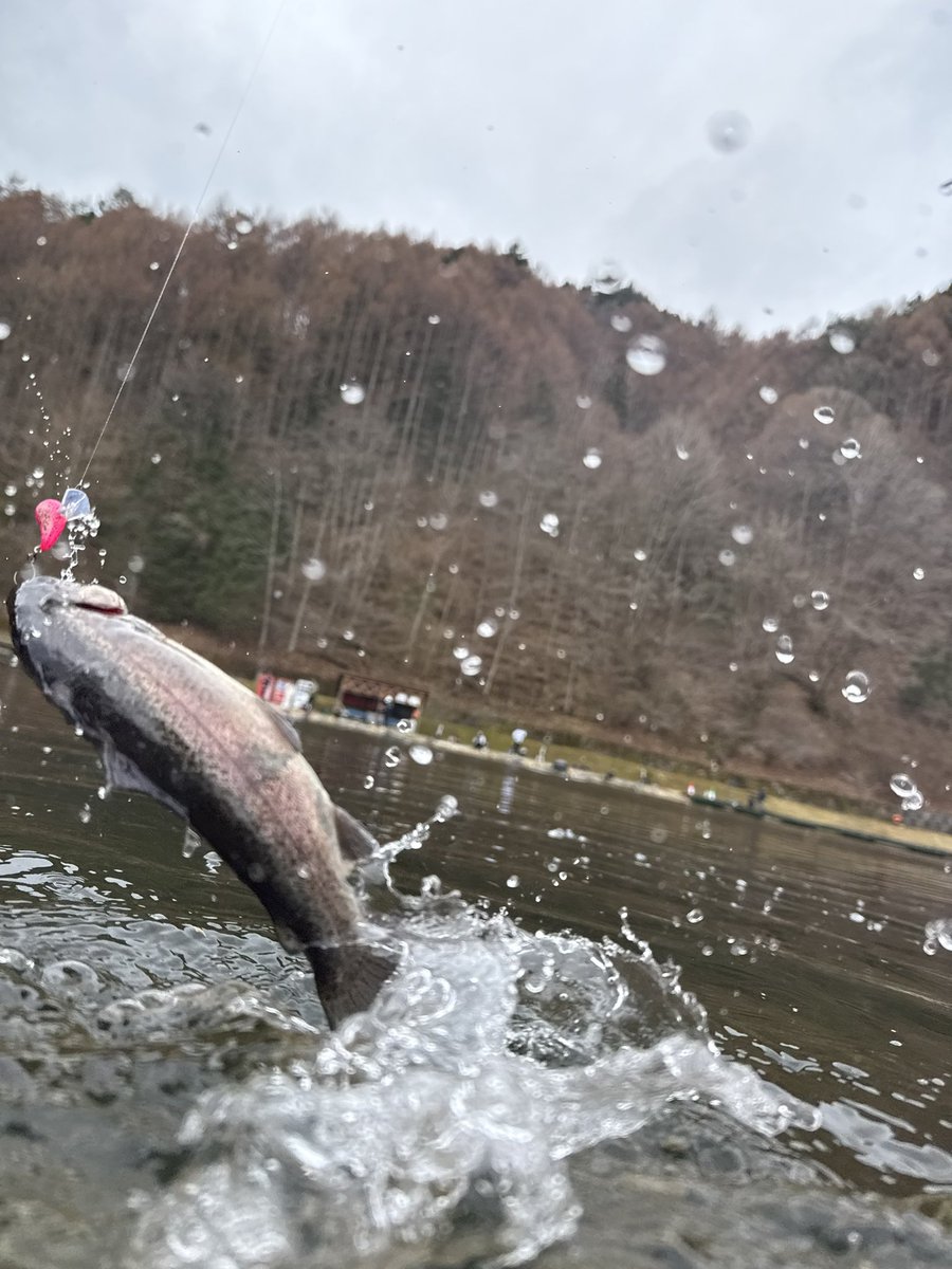 ポンテーン tweet media