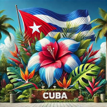 Nuestra Cuba es un jardín. Sus flores, árboles, sus colores. Nuestra isla es un verdadero paraíso y nuestra bandera forma parte de el. Defiende tu tierra, tu Patria. Defiende tu cielo y tus palmas. #CubaEstáFirme #CubaVencerá #CubaEsRevolución #CubaNoSeRinde ,#CubaPorLaPaz