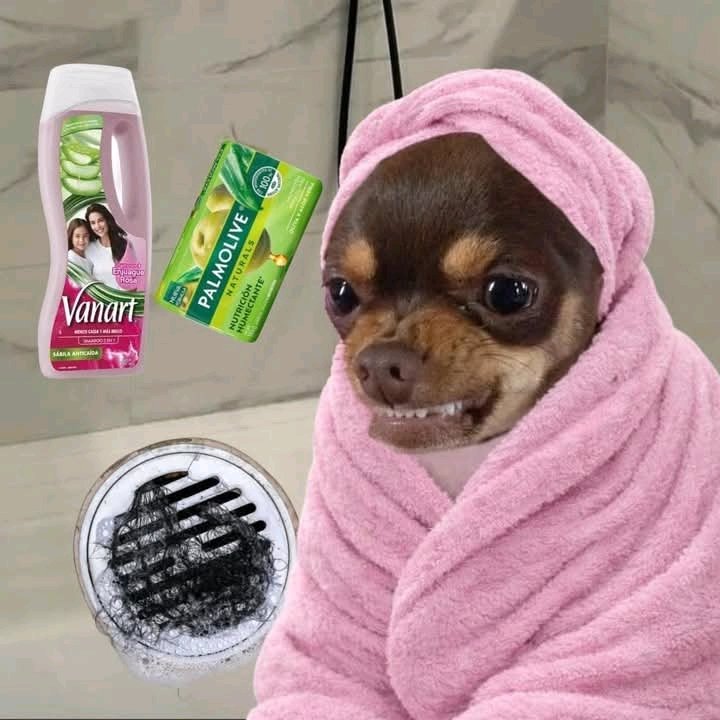 𝐌𝐚𝐲𝐫𝐚 tweet media