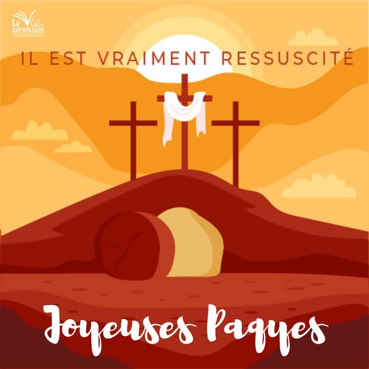 SeparateChecks tweet media