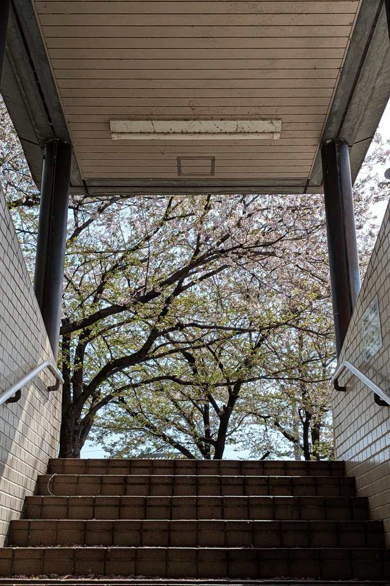 angelicalbite tweet media