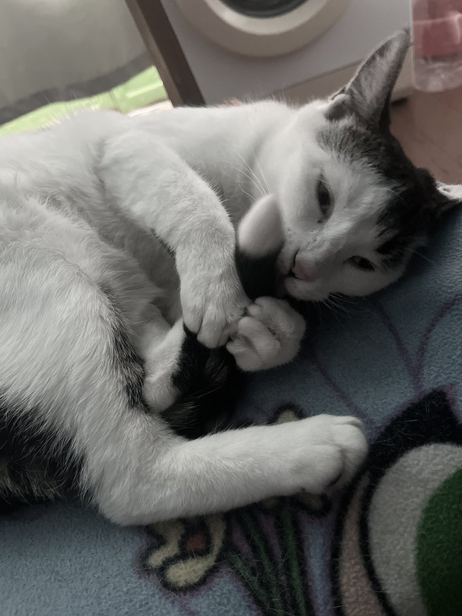 шин ݁ᛪ༙ tweet media