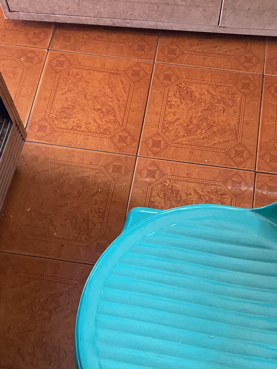 aingomnivora tweet media