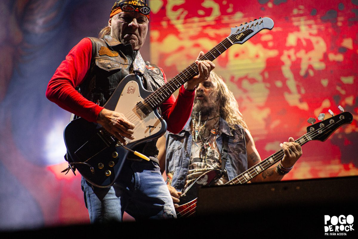 Pogo de Rock tweet media