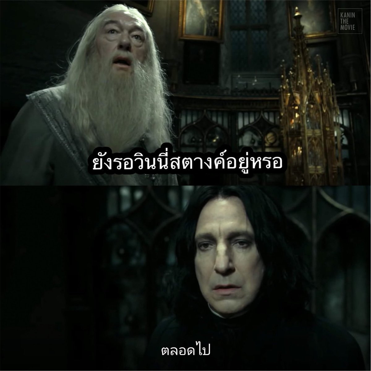 BW_MOVC's tweet photo. ครับบบบ จะติดแท็ก #วินนี่สตางค์ #WinnySatang ทุกวันนั่นแหละ เจ้มจะทำไมผมล่ะ https://t.co/DbshJ43J9n