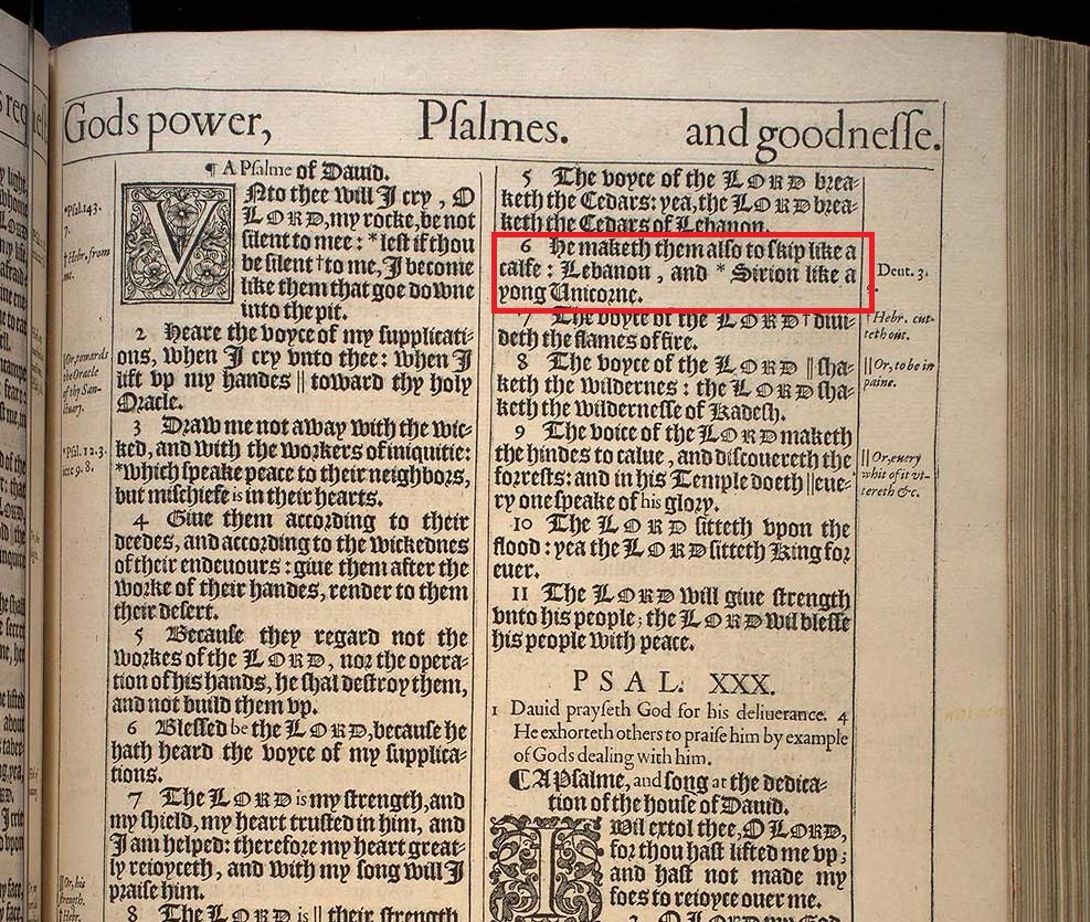 Médico de la Peste tweet media