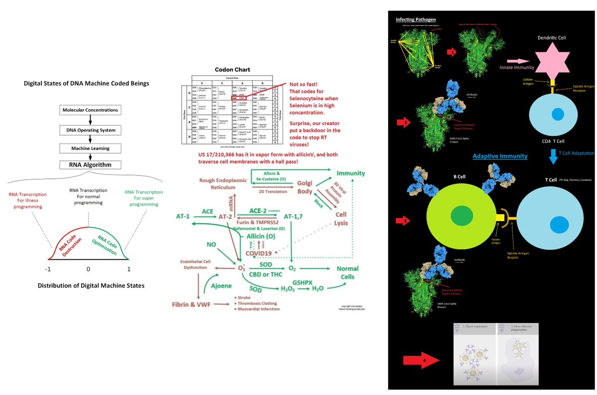 AllicinV ( 大蒜素-V ) - (TM) tweet media