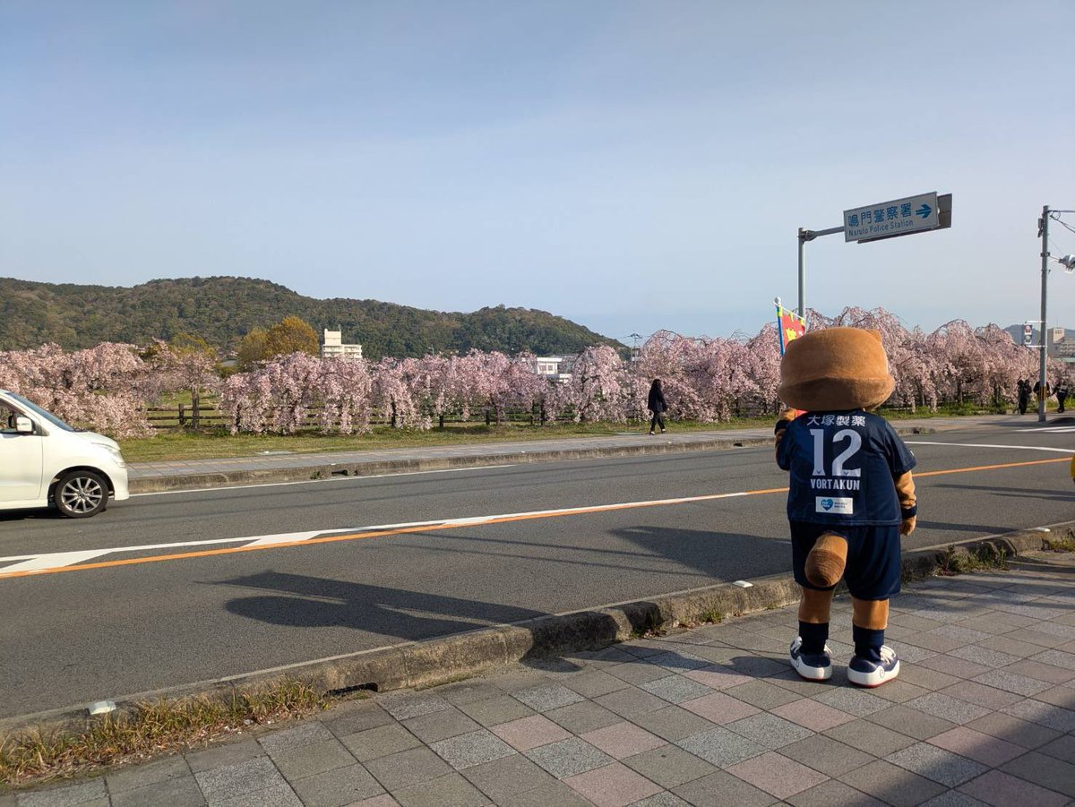 ヴォルタくんときどきティスちゃん tweet media