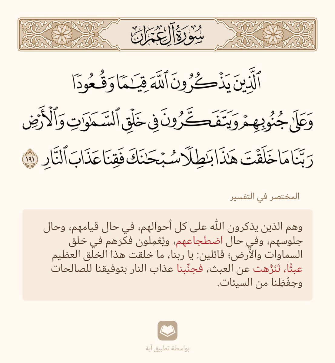 مح/md ♡⚔️❄️ tweet media