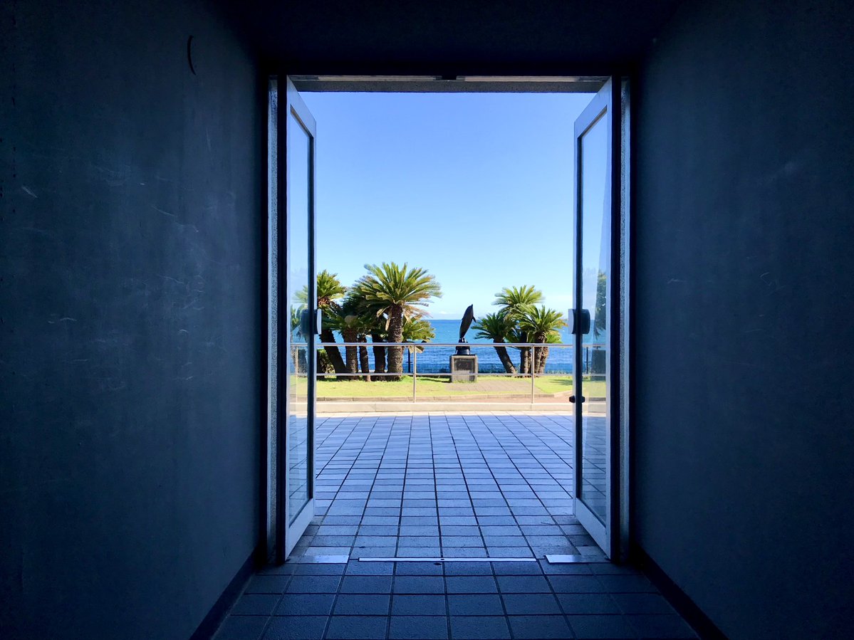 六路木アルク🦒🌳/Aruku_Rokurogi tweet media