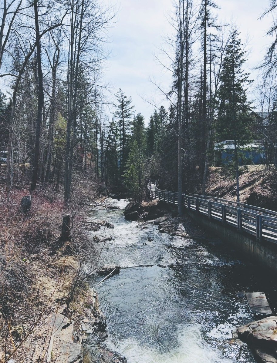 Jennifer Ostopovich tweet media