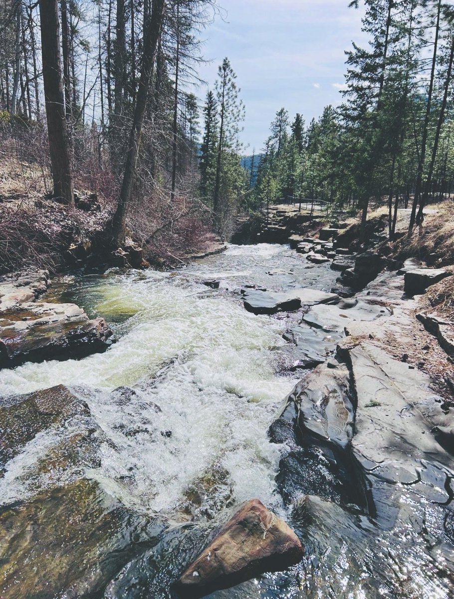 Jennifer Ostopovich tweet media