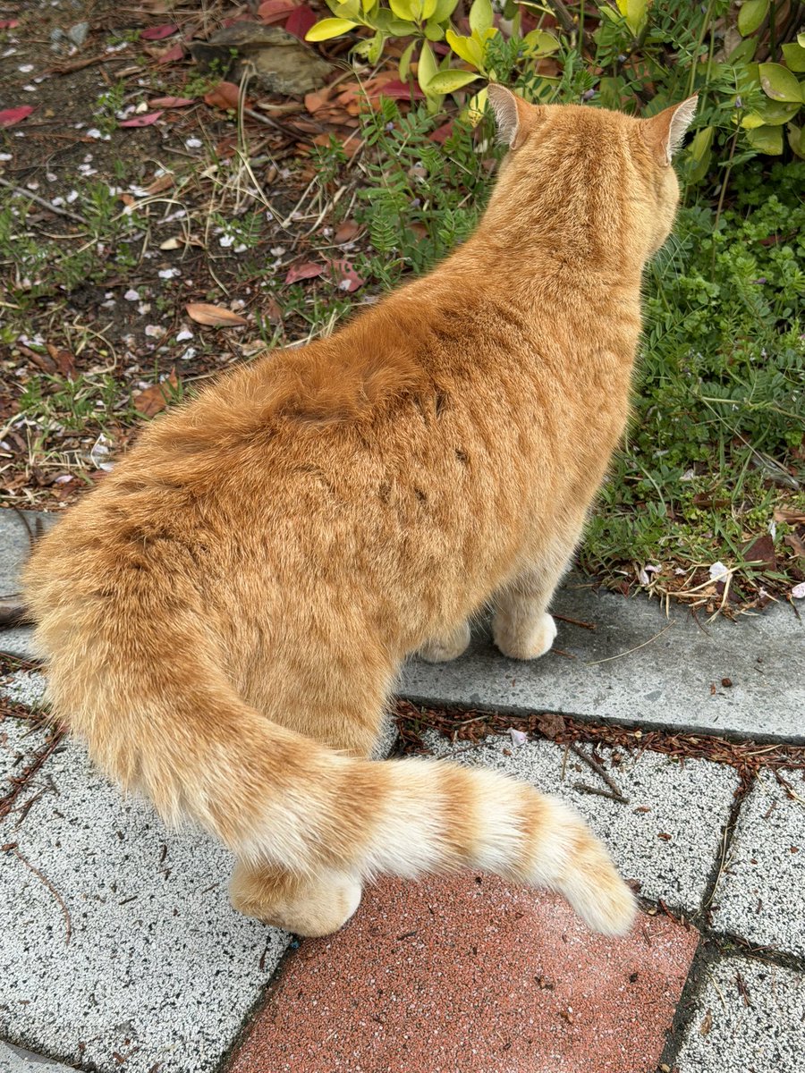 희자두 tweet media