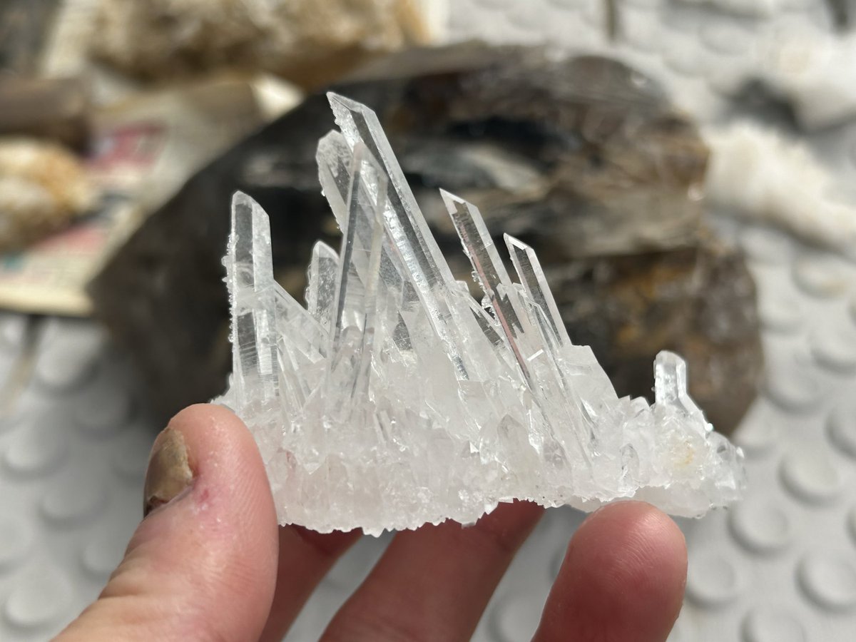 【自然遊撃隊】こうへい⛏️ tweet media