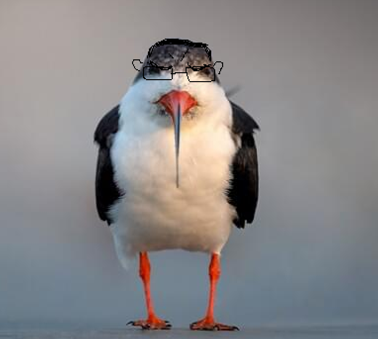 Hi im Rune tweet media