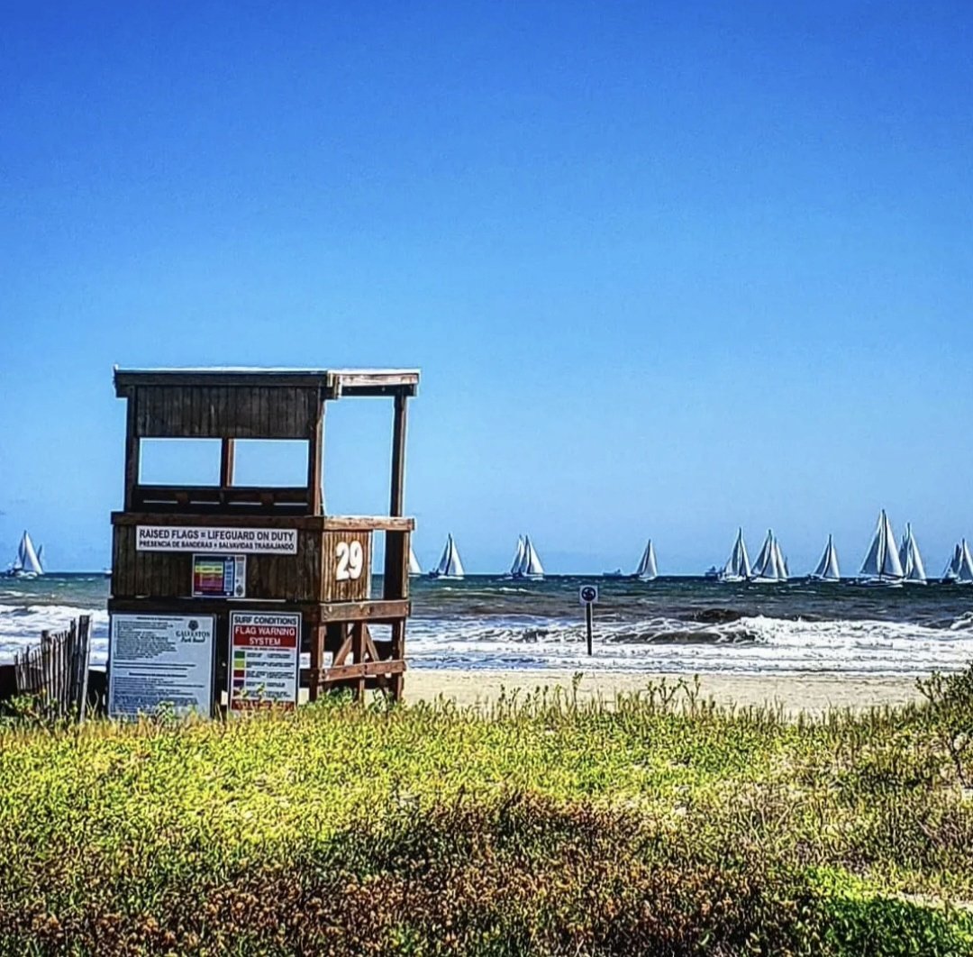 CowboyX™ 🥃🦅🇺🇲 tweet media