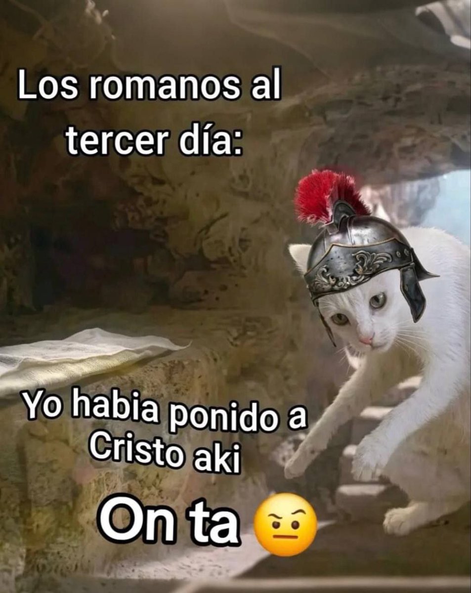 siempreconrisa's tweet photo. https://t.co/ANr3qk6SvQ