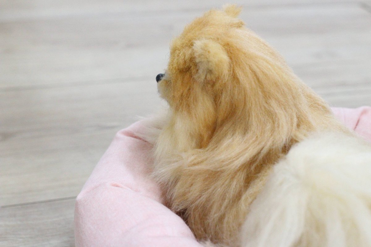 owor_OHDEE's tweet photo. 나도줄수이쓰까 https://t.co/leI2HPVqaG
