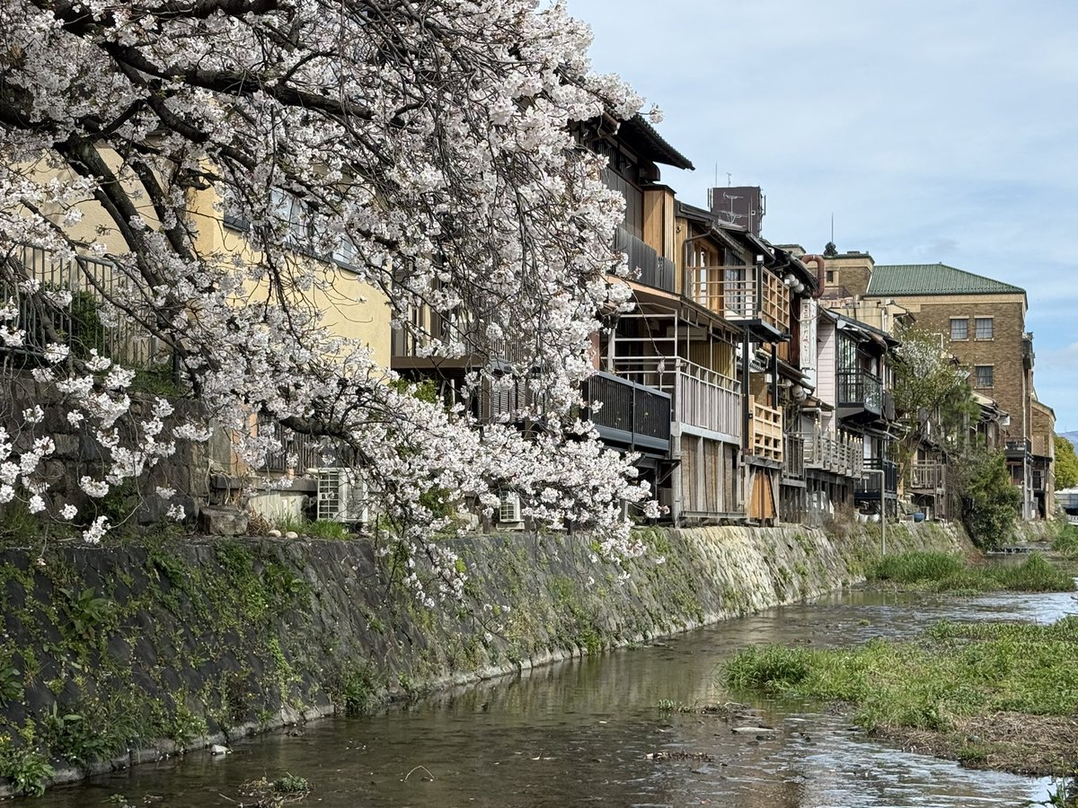 とーふ@2/28AI旅行術出版！ tweet media