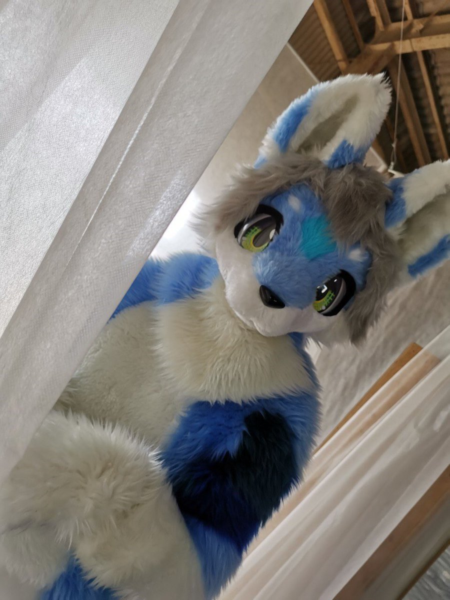 ルビエル tweet media