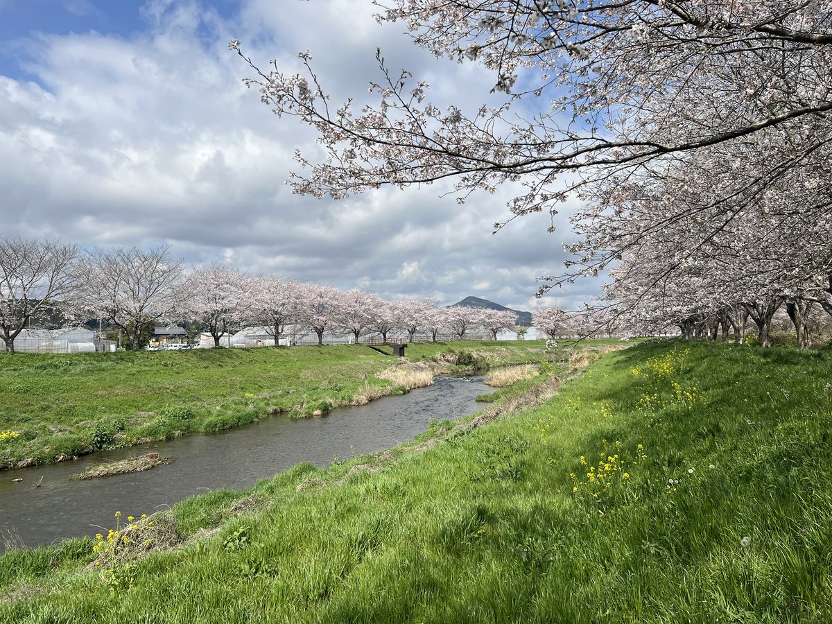 小野孝太郎|参政党🟠笠間市政改革委員🌰🇯🇵 tweet media