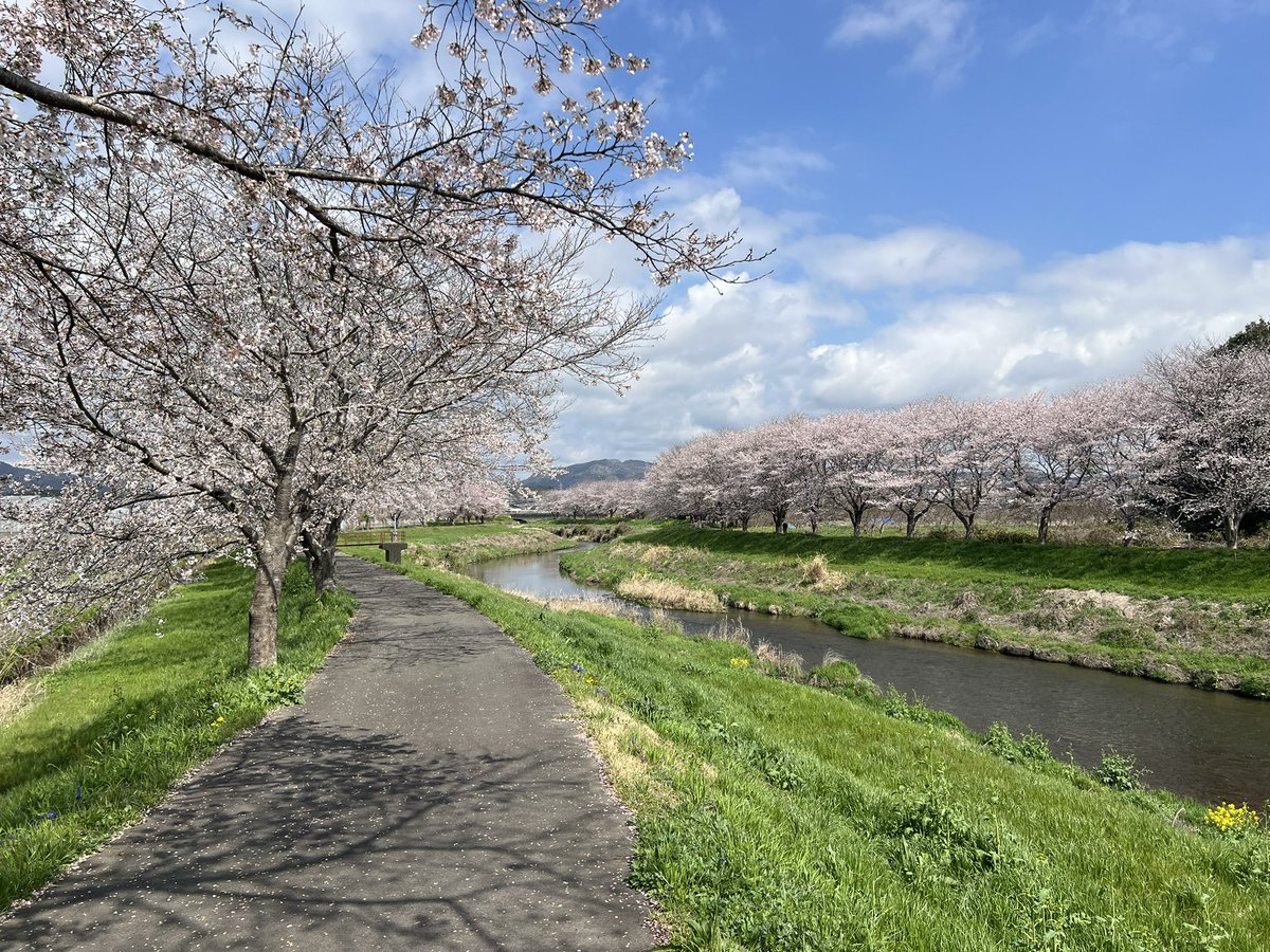 小野孝太郎|参政党🟠笠間市政改革委員🌰🇯🇵 tweet media