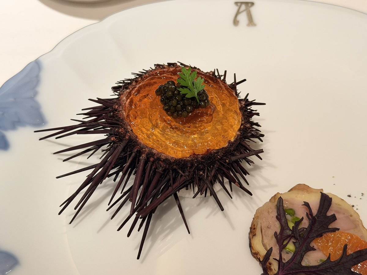 Miki Sumiyoshi 住吉美紀 tweet media