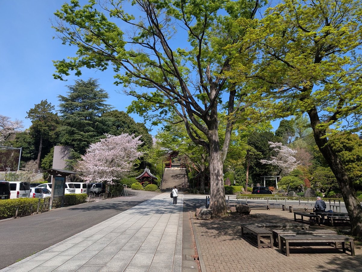 亜頭樹(アズキ) tweet media