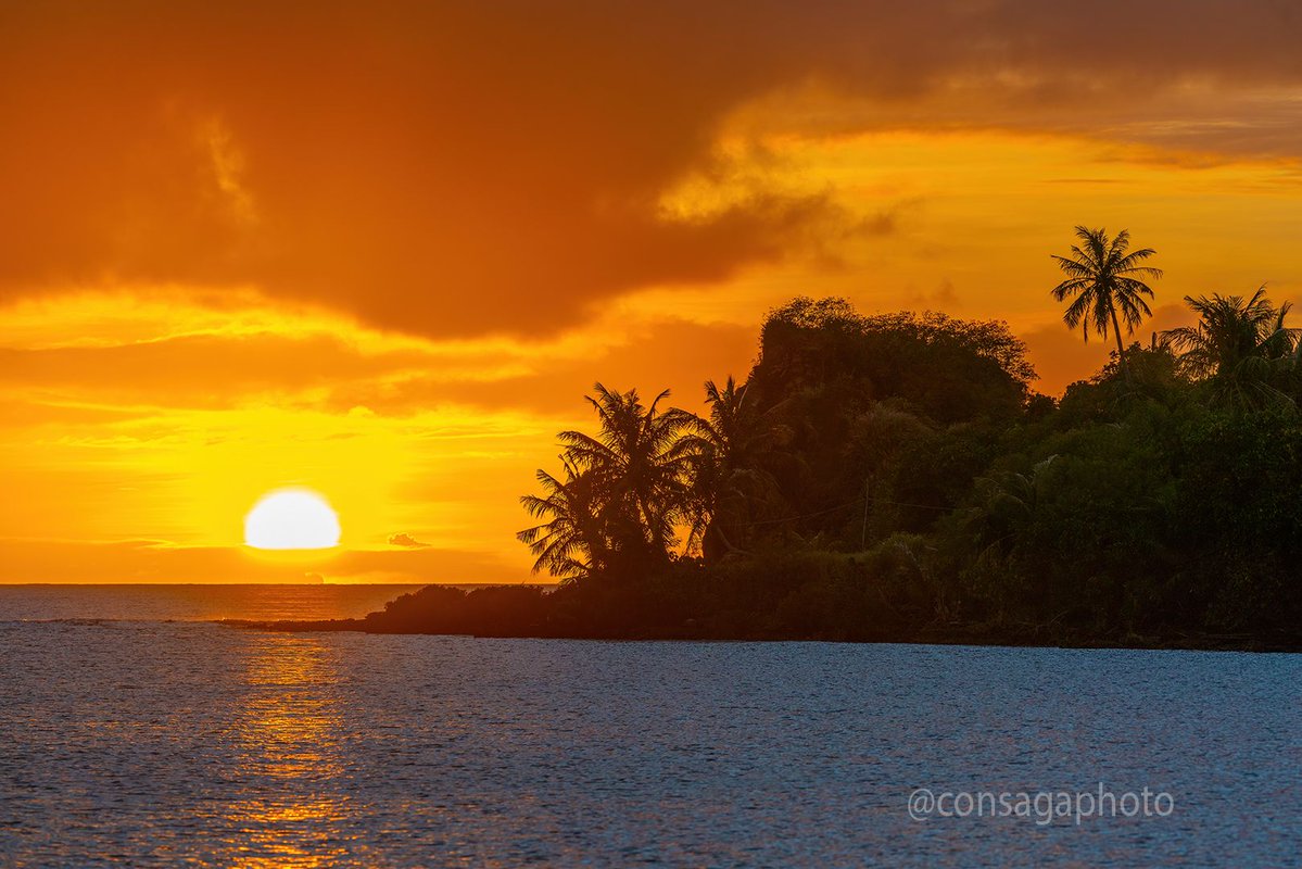 The Guam Guide tweet media