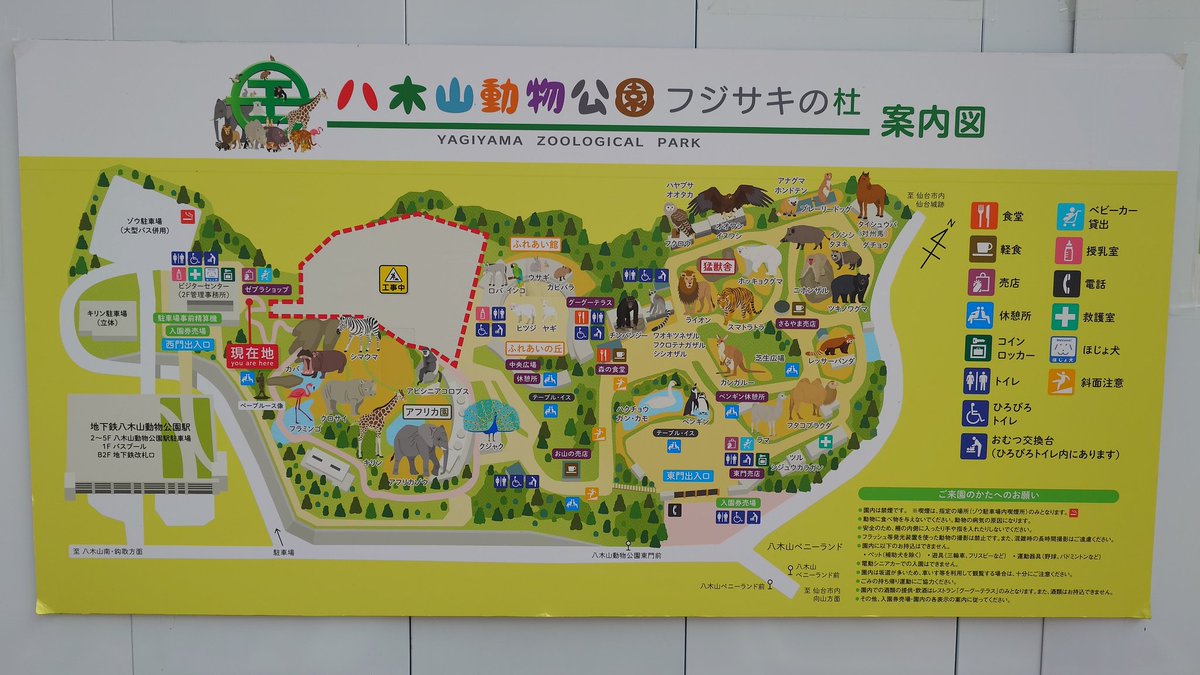 えむあーる tweet media