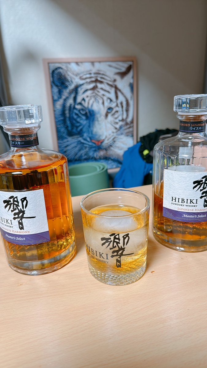 호랑이같냥 tweet media