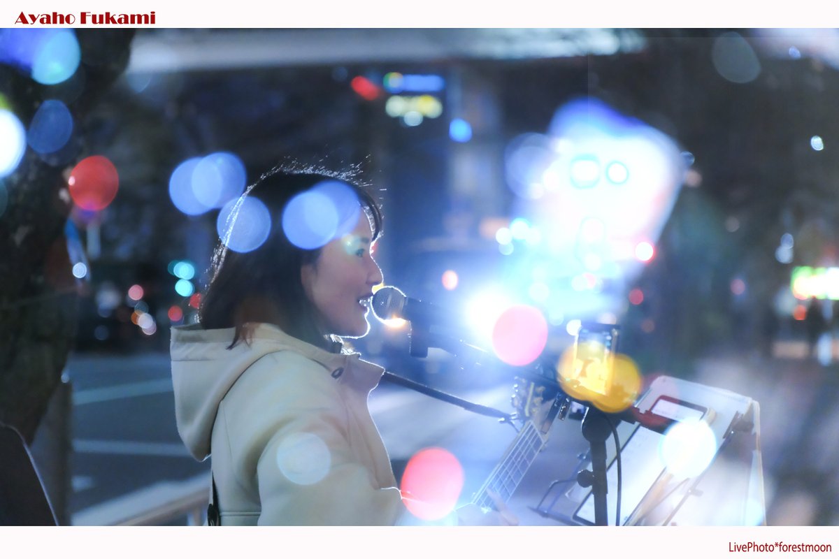 月と森＊Live Photo tweet media