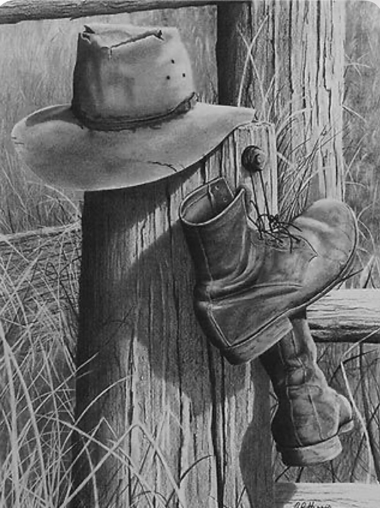 DDSHA68(Pamela) tweet media