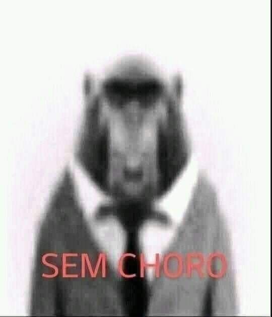 El Brandãozzzin tweet media