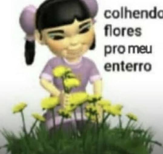 San Souza 🪞🇾🇪🇧🇴 tweet media