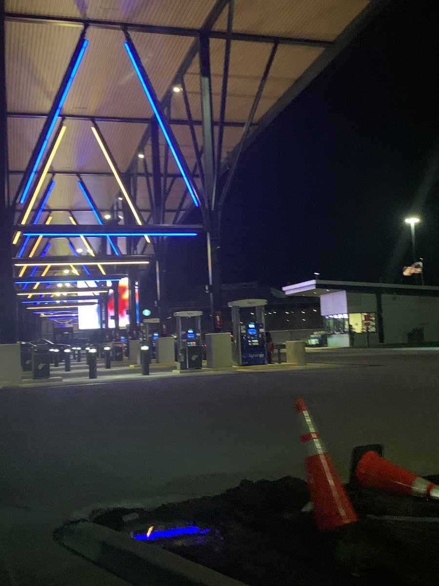 Sylvester🐟 tweet media