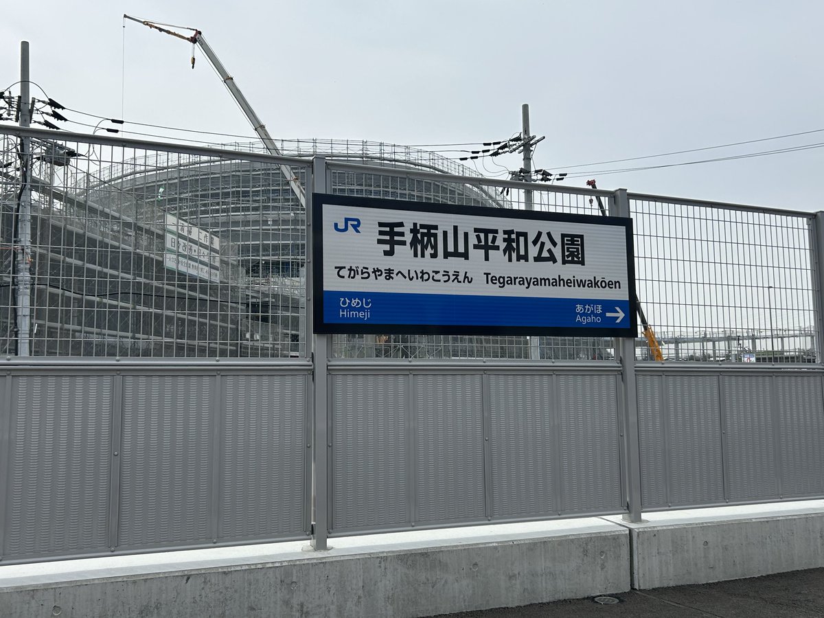 ぶいじゅう tweet media