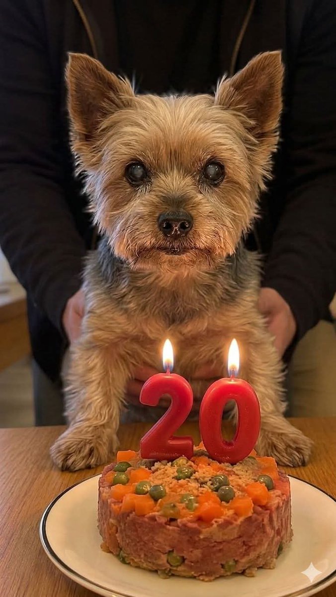 Sara Mary ⭐❤️ tweet media