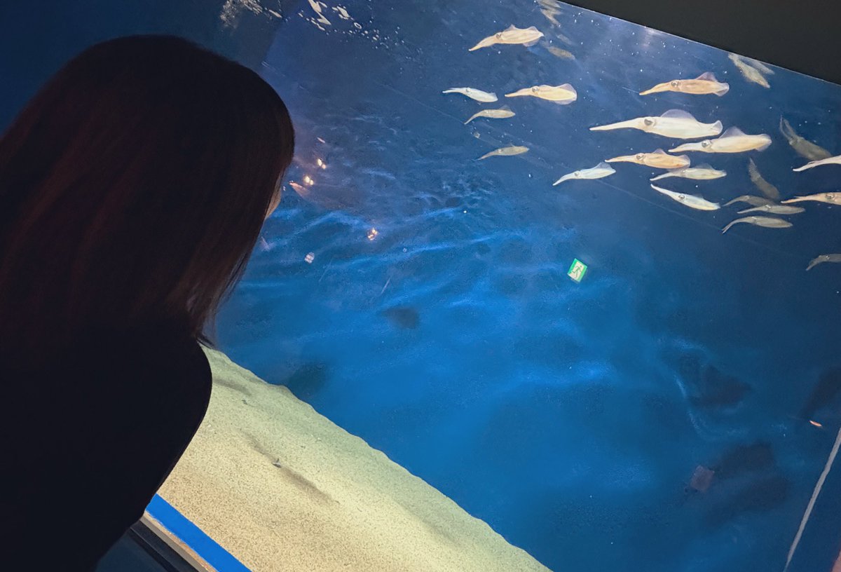 聖帝REDデーモン・マイメロディ・山口天皇(3038歳) tweet media