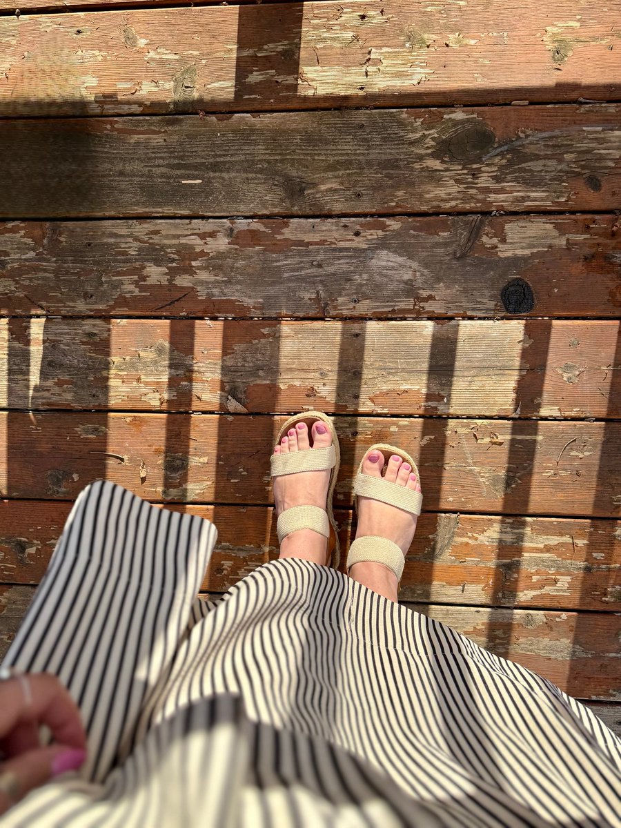 Knox 🌙✨ tweet media