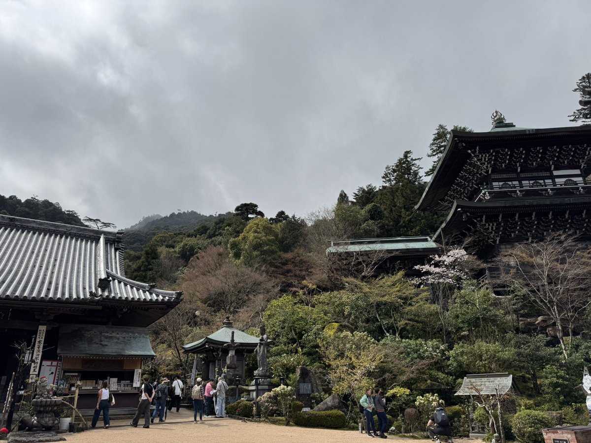 バールのようなもの🐾 tweet media