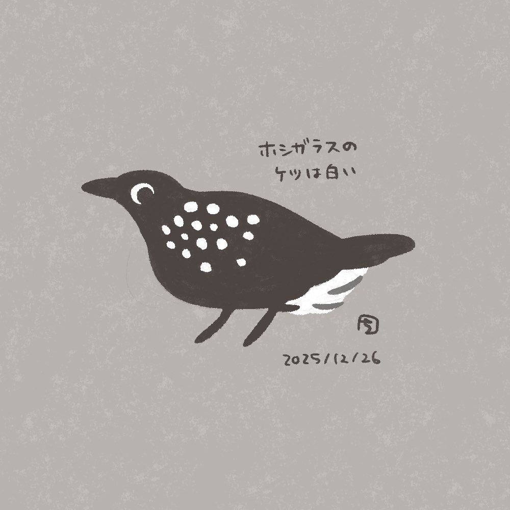 アトリエ チヨや tweet media