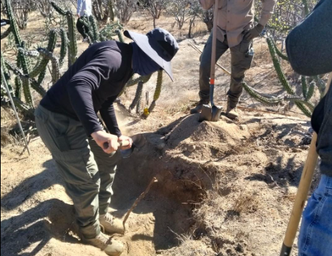 envozmxoficial's tweet image. Colectivos de #buscadores localizan cinco #fosas clandestinas en #Cajoncito, La Paz, BCS; Guardia Nacional y Marina resguardan la zona. 

👇Aquí la nota:
envoz.mx/articulo/estad…
