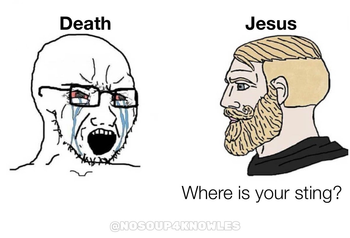 Britta | NoSoup4Knowles tweet media