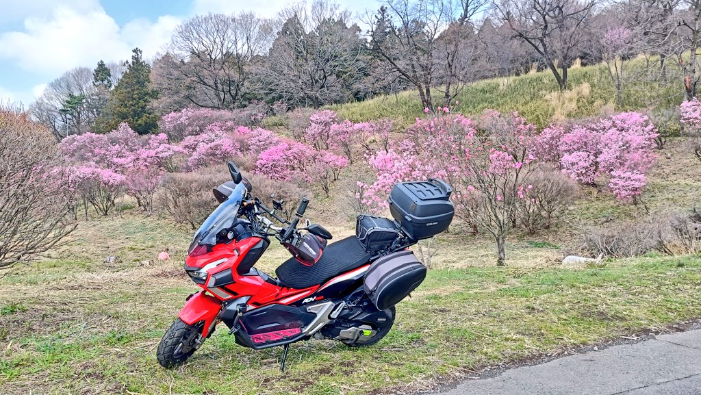 おでかけポコ tweet media