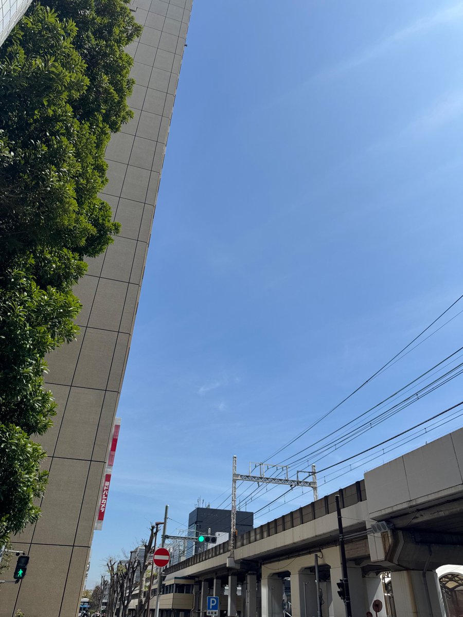 ひいらぎ tweet media