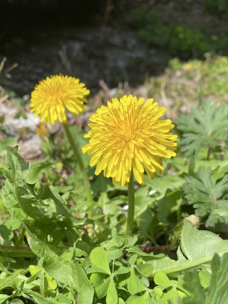 今日も素敵な1日を💓